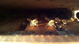 photo20.jpg