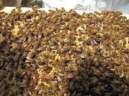 photo22.jpg