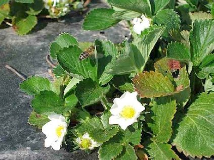 photo35.jpg