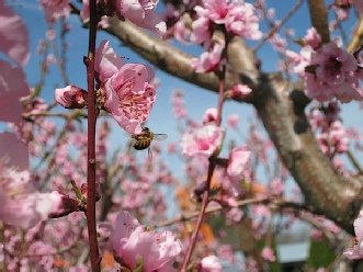 photo7.jpg